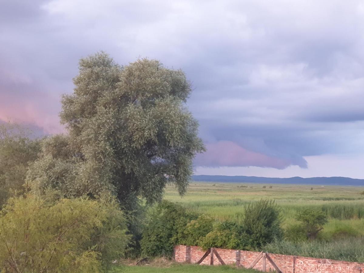 Bed and breakfast Ptaszarnia - Natura-free Parking
