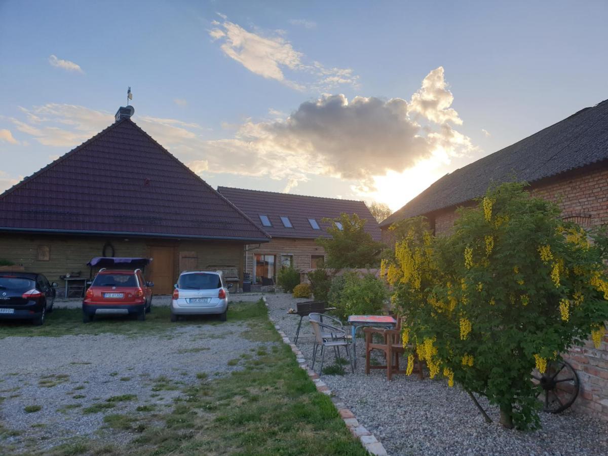 Bed & Breakfast Dom Goscinny Ptaszarnia - Natura-Free Parking 2*