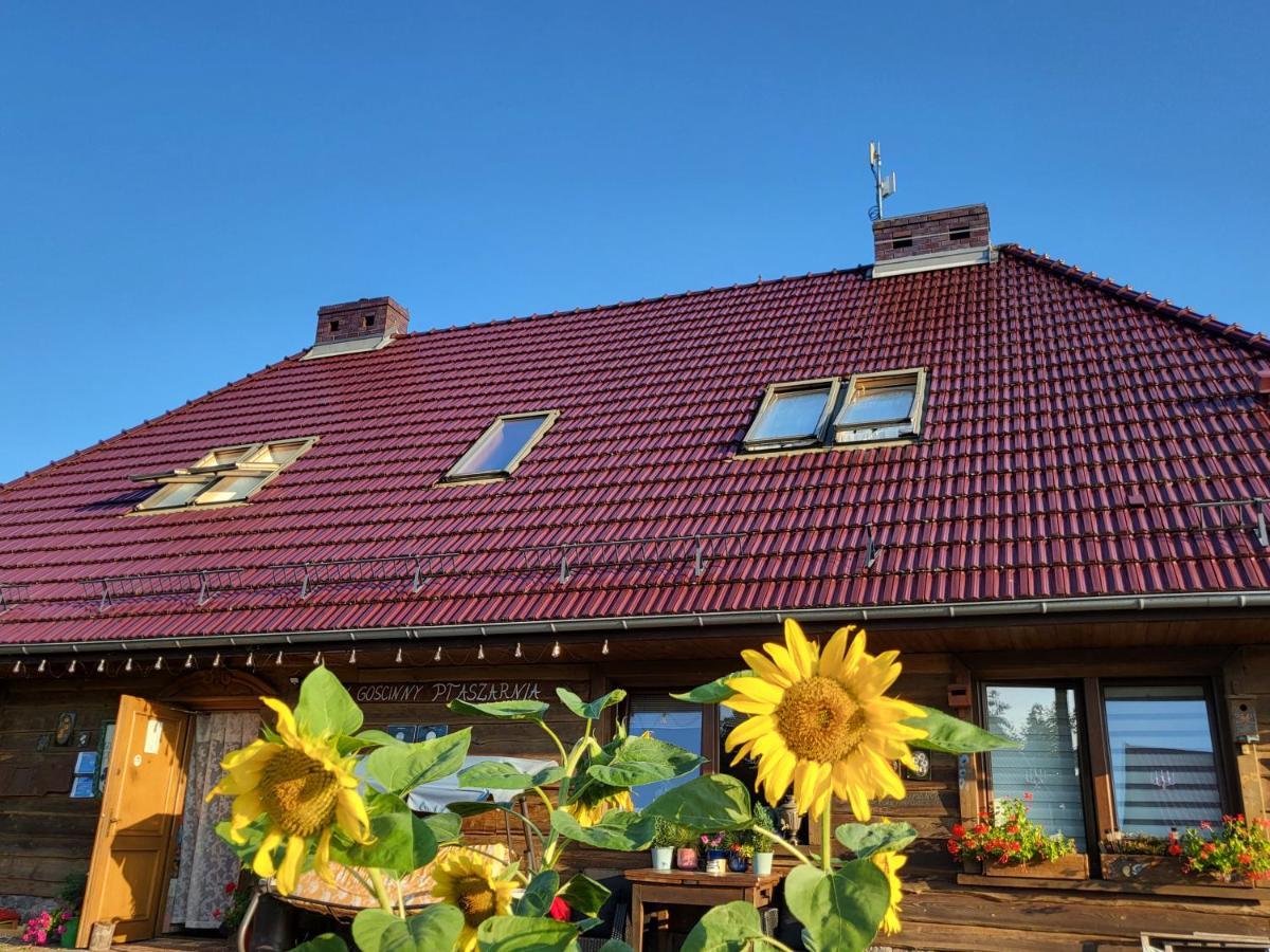 Bed and breakfast Ptaszarnia - Natura-free Parking 2*
