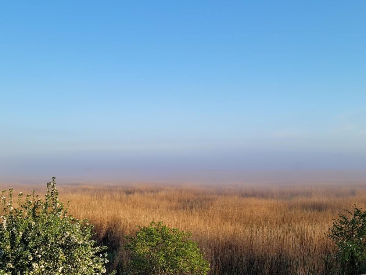 Ptaszarnia - Natura-free Parking 2* Świnoujście